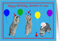 Birthday to Brother in Law with Playful Raccoons and Party Hats card
