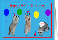 100th Birthday, Raccoons with party hats and colorful balloons, blue card