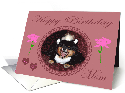Birthday to Mom with a Pomeranian Wearing a Skunk Costume card