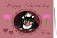 Birthday to Mom with a Pomeranian Wearing a Skunk Costume card