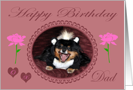 Birthday to Dad, Pomeranian in skunk costume card