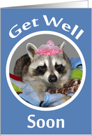 Get Well, general, Raccoon sleeping in night cap in white frame, blue card