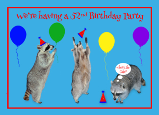 Invitations, 52nd Birthday Party, Raccoons with party hats, balloons