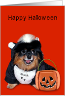 Halloween, general, Pomeranian smiling in skunk costume on orange card