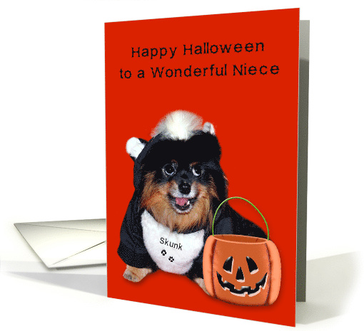 Halloween to Niece, Pomeranian smiling in skunk costume, orange card