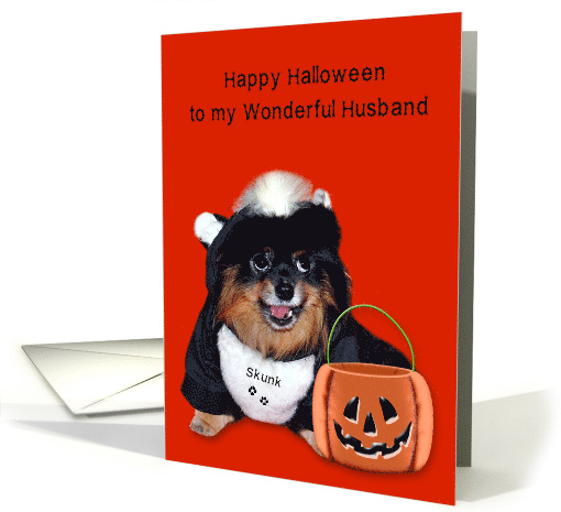 Halloween to Husband, Pomeranian smiling in skunk costume, orange card