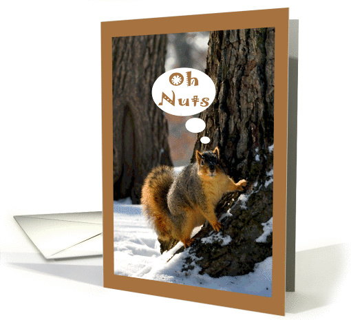 Belated Birthday, Squirrel on a tree trunk with a snowy ground card