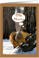 Belated Birthday, Squirrel on a tree trunk with a snowy ground card