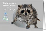 Invitations, Baby Shower, It’s A Boy, a soapy raccoon in the shower card