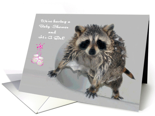 Invitations, Baby Shower, It's A Girl, a soapy raccoon in... (813923)