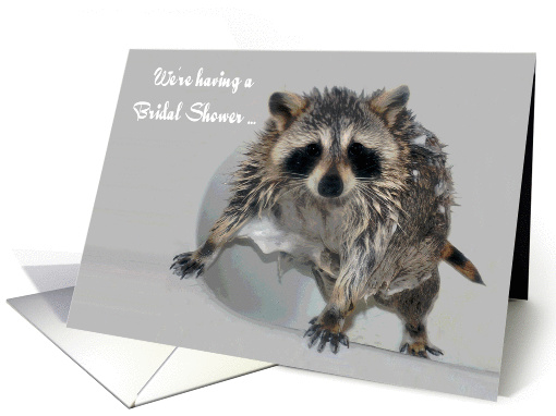 Invitations, Bridal Shower, general, a soapy raccoon in... (813924)
