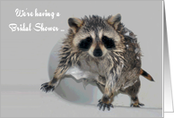 Invitations, Bridal Shower, general, a soapy raccoon in the shower card