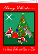 Christmas to Brother and Sister-in-Law, Raccoons and Pomeranian, green card