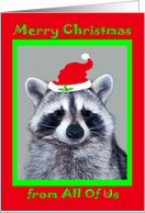 Christmas from All Of Us, raccoon wearing a Santa Claus Hat on red card