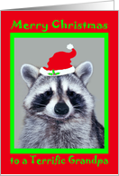 Christmas to Grandpa, raccoon wearing a Santa Claus Hat on red, green card