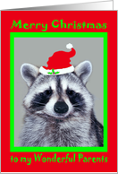 Christmas to Parents, raccoon wearing a Santa Claus Hat on red, green card