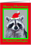 Christmas to Granddaughter, raccoon wearing Santa Claus Hat on red card