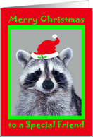 Christmas to Friend with a Raccoon Wearing a Santa Claus Hat card