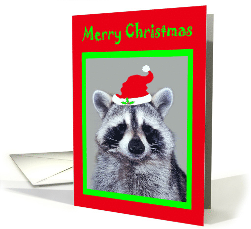 Christmas Card with an adorable Raccoon Wearing a Santa Claus Hat card