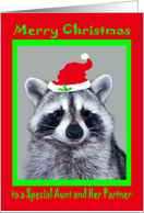 Christmas to Aunt and Partner, raccoon wearing Santa Claus hat, red card