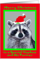 Christmas to Nephew and Partner, raccoon wearing Santa Hat on red card