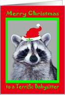 Christmas to Babysitter, raccoon wearing Santa Hat in a green frame card