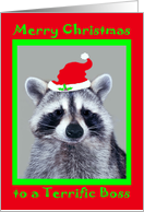 Christmas to Boss, Raccoon wearing Santa Hat in a green frame on red card