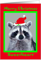 Christmas to Sweetheart with a Cute Raccoon Wearing a Santa Hat card