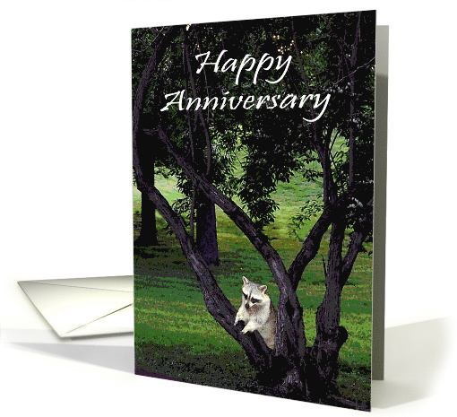 Anniversary to spouse, general, a beautiful raccoon... (819596)