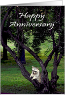 Anniversary to spouse, general, a beautiful raccoon leaning on a tree card