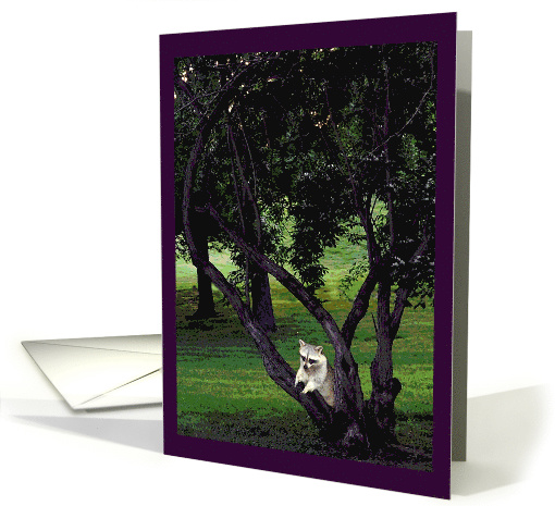 All Occasion, Raccoon in tree card (819597)