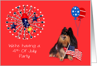 Invitations, 4th Of July Party, Pomeranian watching fireworks, red card