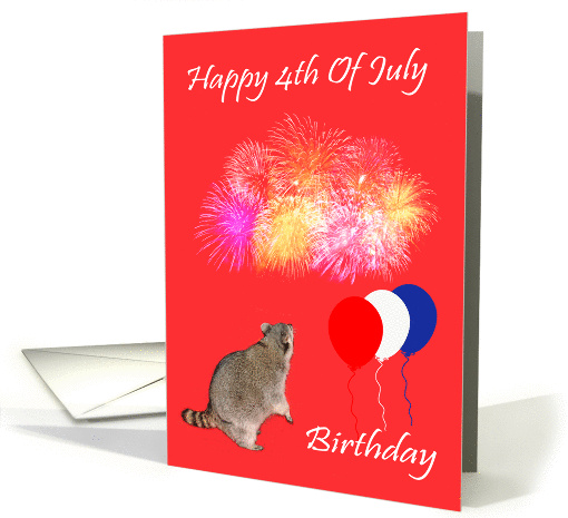 4th Of July Birthday, Raccoon watching fireworks with... (820441)