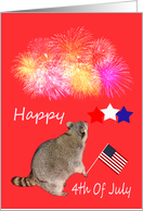 4th Of July, general, Raccoon watching fireworks with flag and stars card