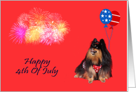 4th Of July, general, Pomeranian watching fireworks, patriotic, red card