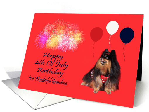 Birthday On 4th Of July To Grandma, Pomeranian looking at... (821240)