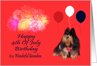 Birthday On 4th Of July to Grandson, Pomeranian watching fireworks card