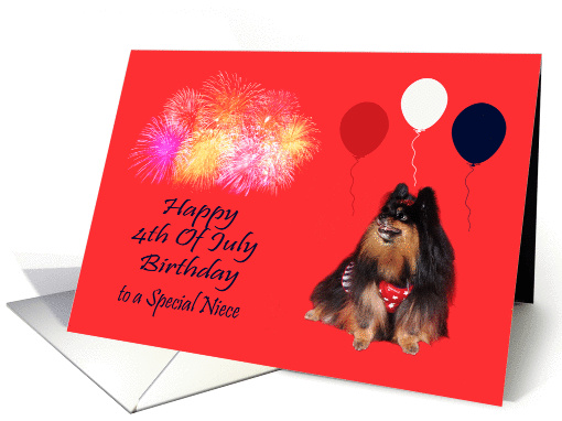 Birthday On 4th Of July to Niece, Pomeranian watching... (822818)