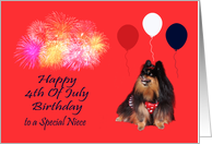 Birthday On 4th Of July to Niece, Pomeranian watching fireworks, red card