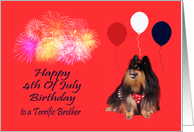 Birthday On 4th Of July to Brother with Pomeranian Watching Fireworks card
