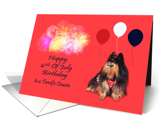 Birthday On 4th Of July to Cousin a Pomeranian Watching Fireworks card
