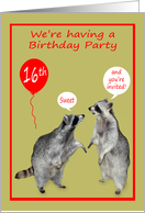 Invitations, Sweet 16th Birthday Party, adorable raccoons, balloons card