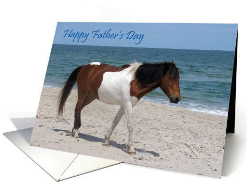 Father's Day, general, Wild Horse on a sandy white beach,... (826077)