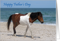 Father’s Day, general, Wild Horse on a sandy white beach, blue sky card