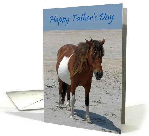 Father's Day, general, Wild Horses on a sandy white beach,... (826080)