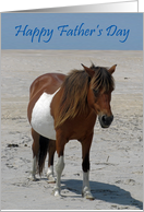 Father’s Day, general, Wild Horses on a sandy white beach, blue sky card