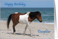 Birthday to Daughter with a Wild Horse on a White Sandy Beach card
