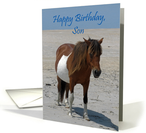 Birthday For Son, Wild Horse on a white beach against a blue sky card