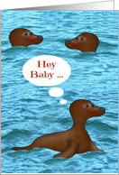 Anniversary, Wedding for spouse, cute sea Lions in the ocean card