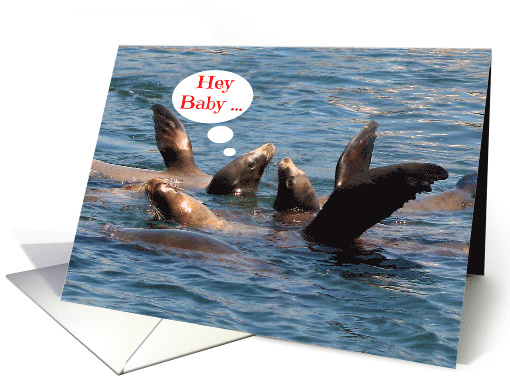 Anniversary to spouse, Wedding, Sea Lions in a pretty ocean card